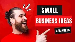 Read more about the article Small Business Ideas For Beginners ( low cost/ low risk)