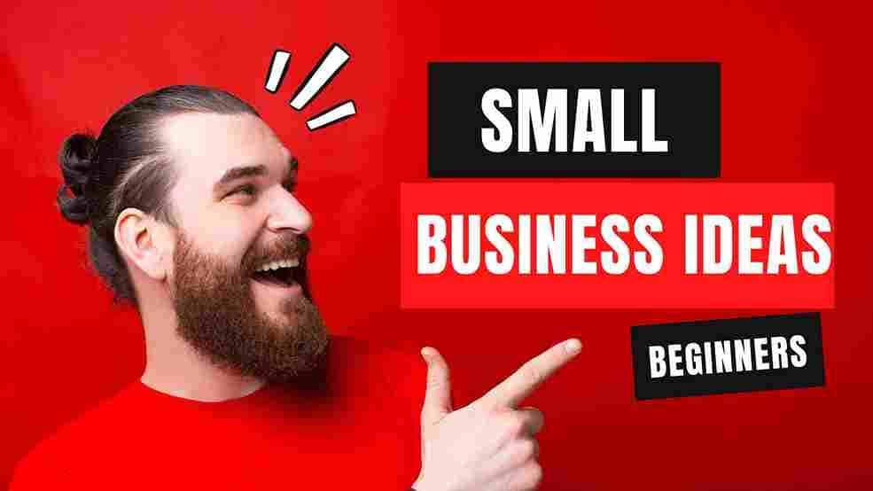 You are currently viewing Small Business Ideas For Beginners ( low cost/ low risk)